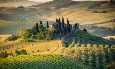 chianti4